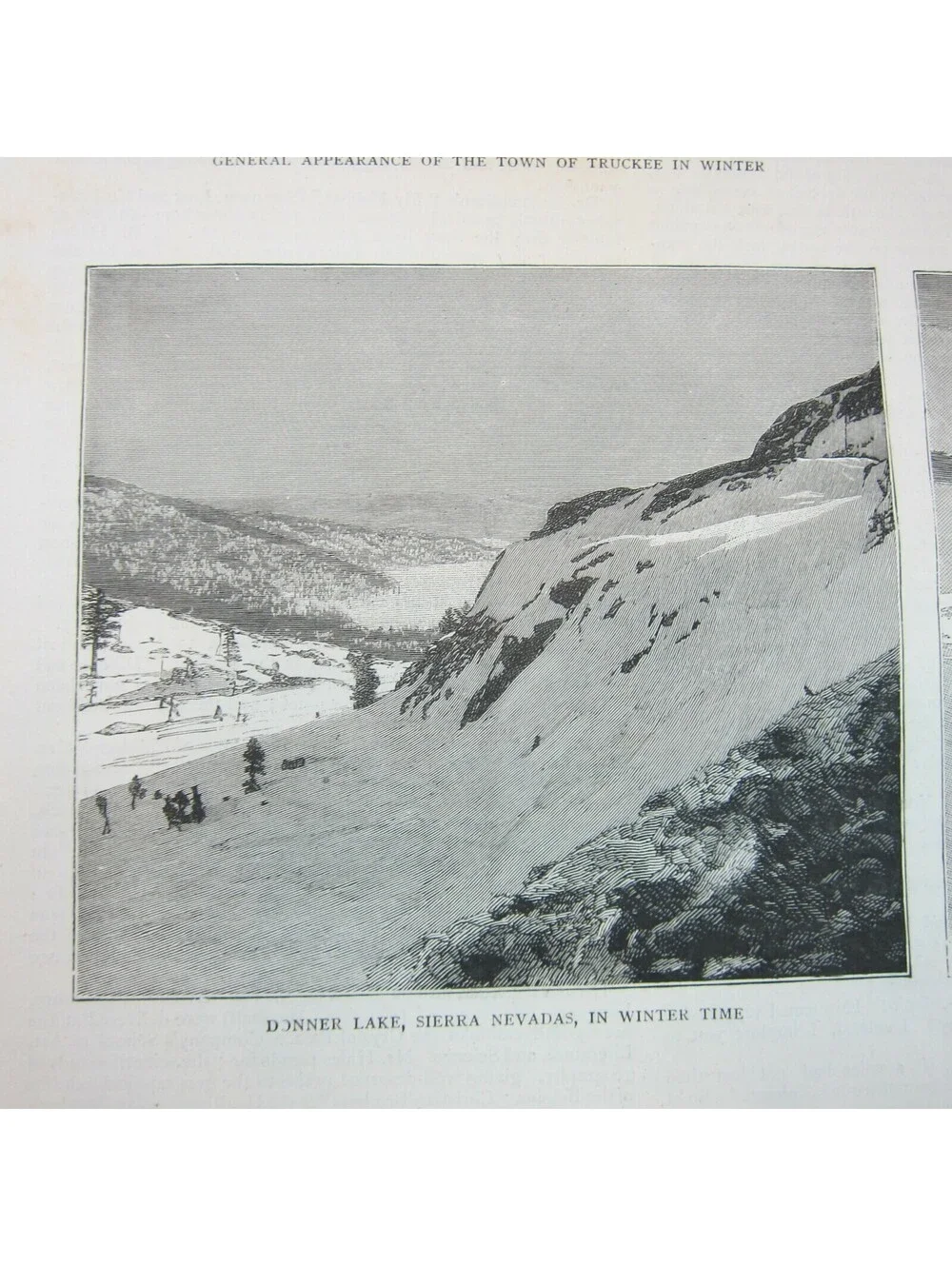 Antique 1885 Print 